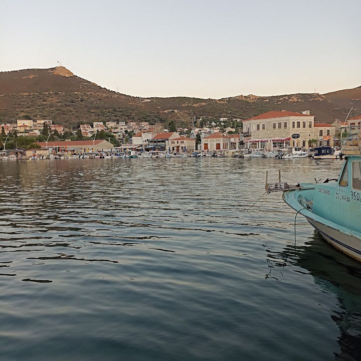 Fotoğraf 7
