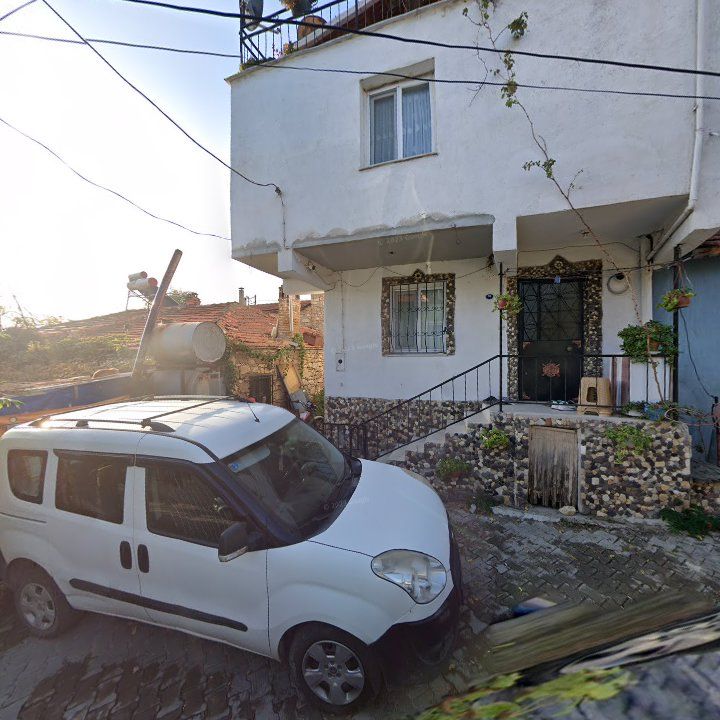 Fotoğraf 7