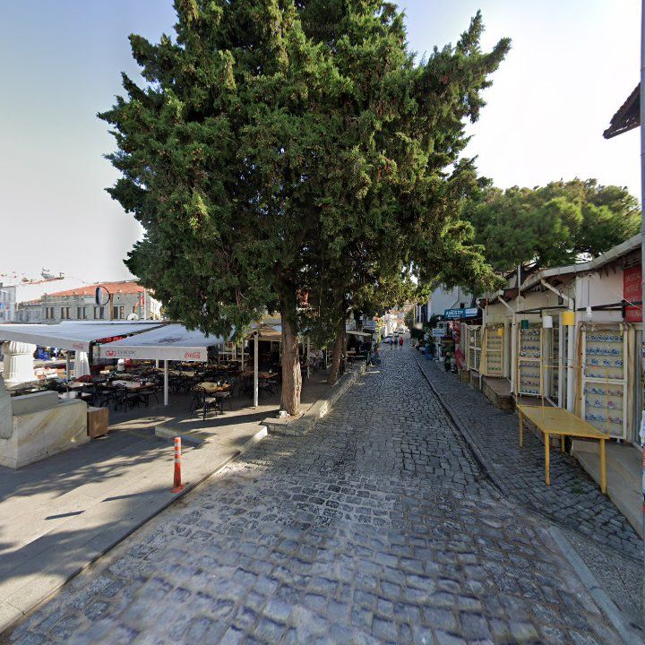 Fotoğraf 11