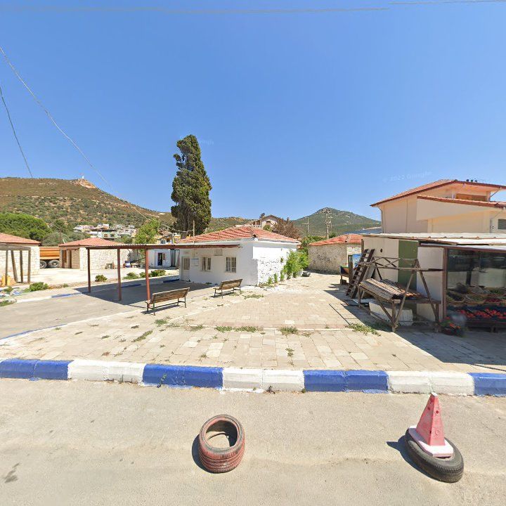 Fotoğraf 10
