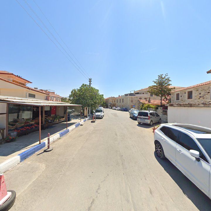 Fotoğraf 11