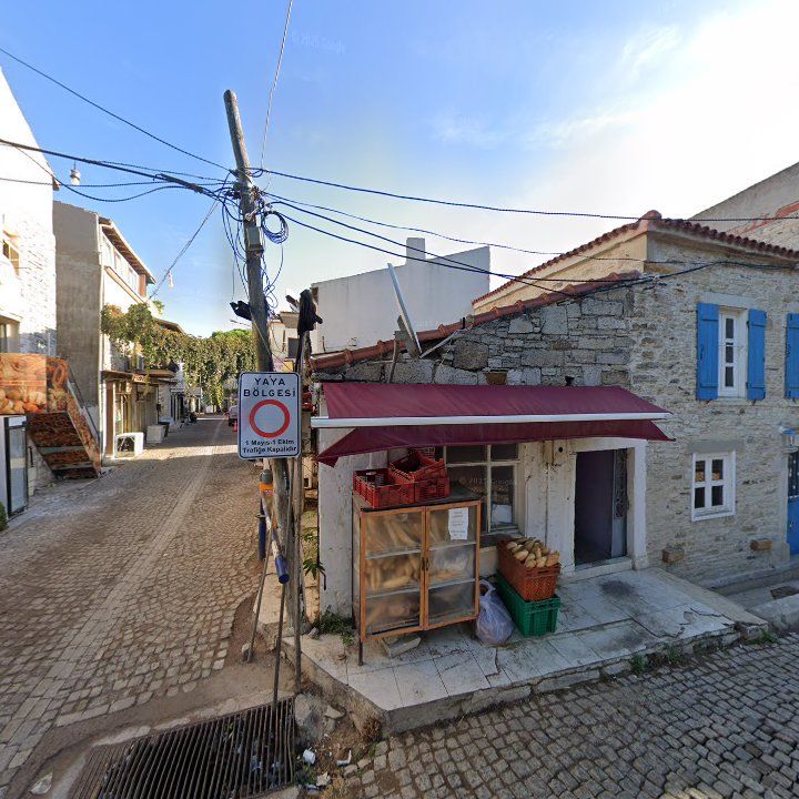 Fotoğraf 6