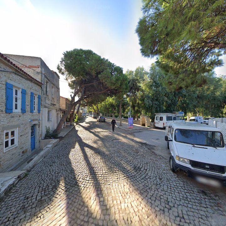 Fotoğraf 7