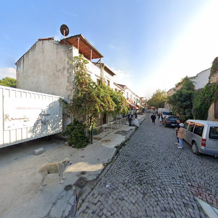 Fotoğraf 7