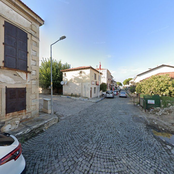 Fotoğraf 9
