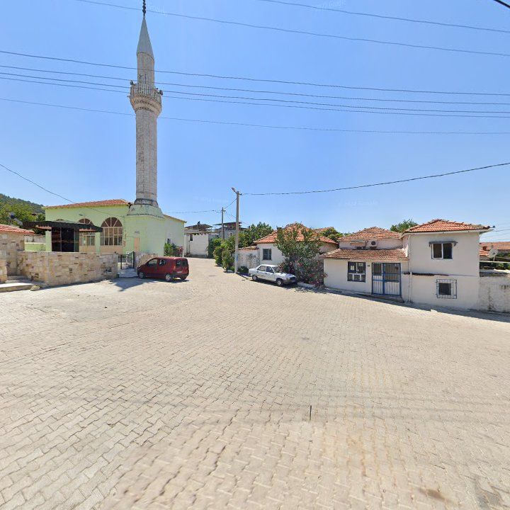 Fotoğraf 7