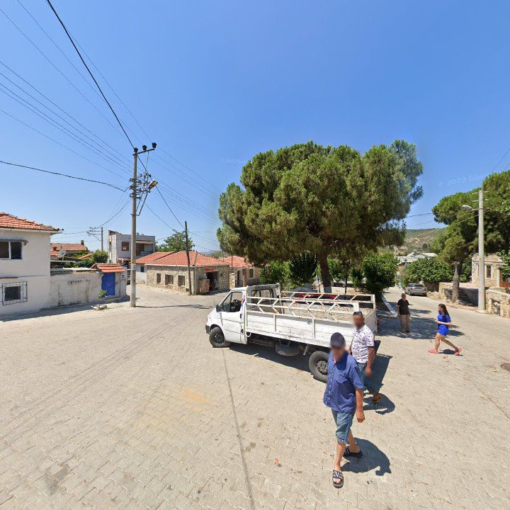 Fotoğraf 8