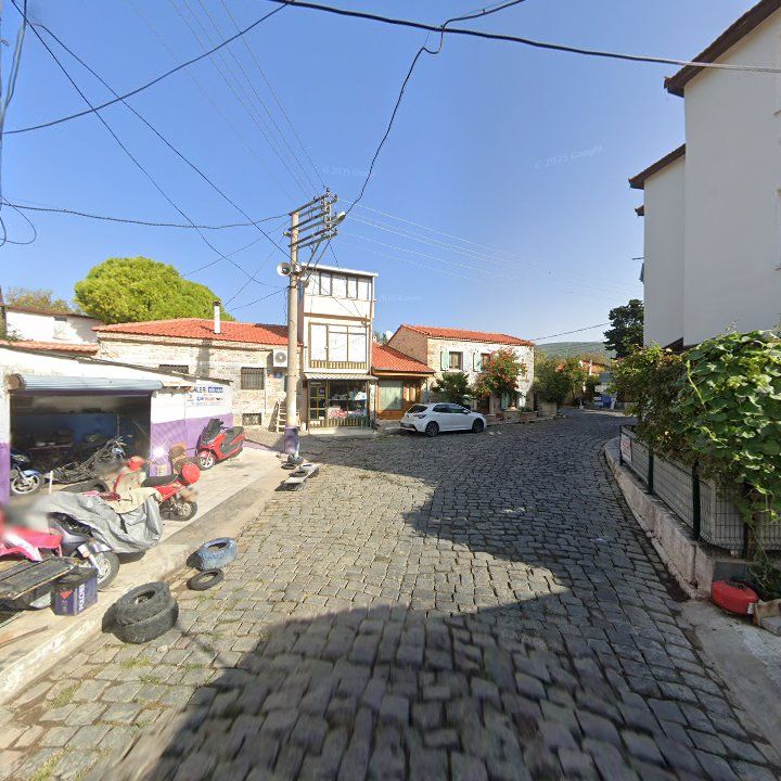 Fotoğraf 7
