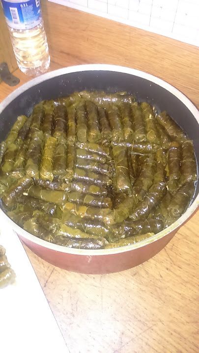 Fotoğraf 17