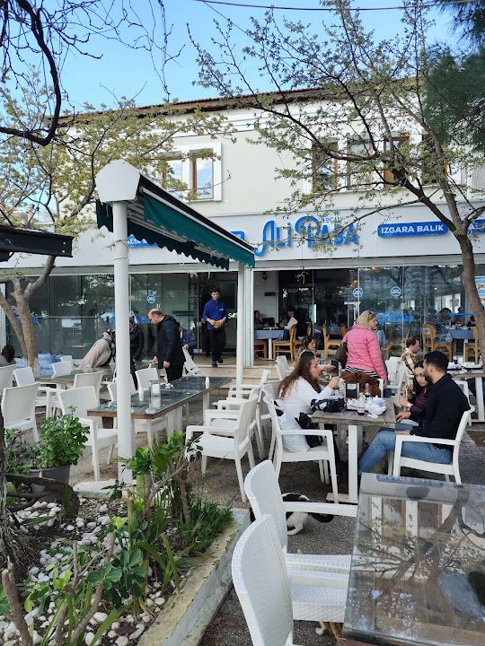Fotoğraf 32