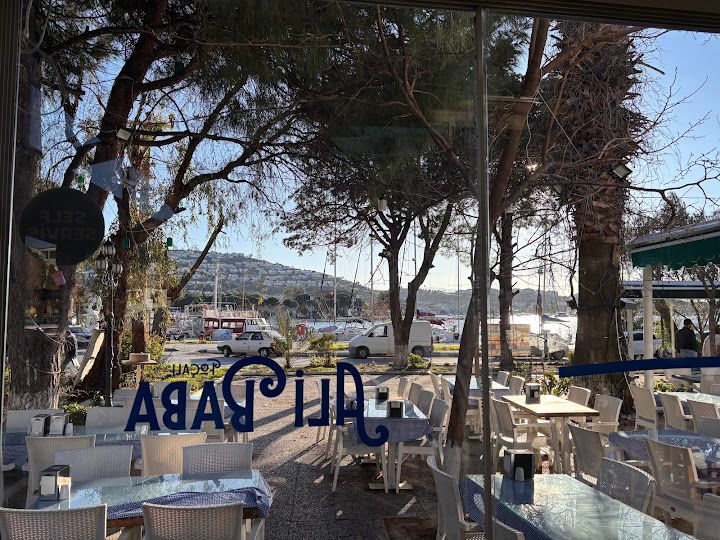 Yorum fotoğrafı 4