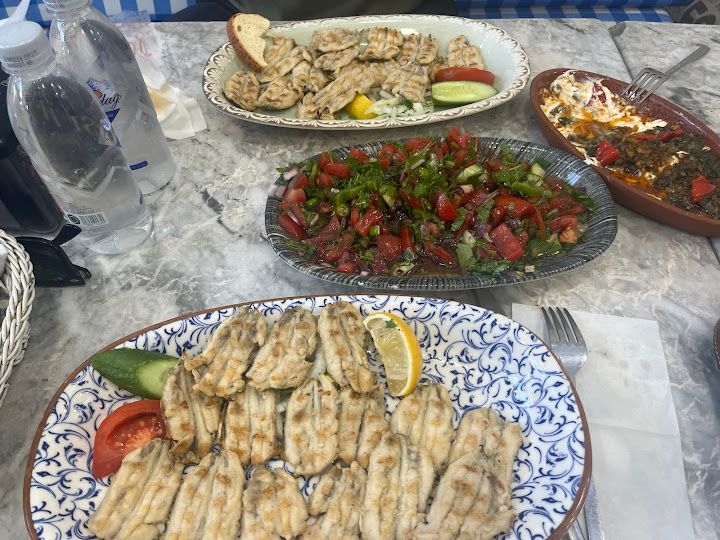 Fotoğraf 33