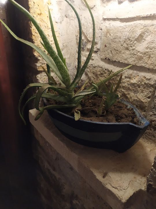 Yorum fotoğrafı 3