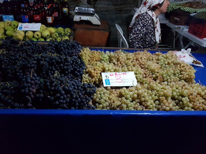 Fotoğraf 13