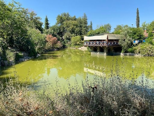 Fotoğraf 34