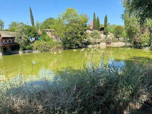 Fotoğraf 33