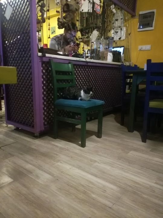 Yorum fotoğrafı 3