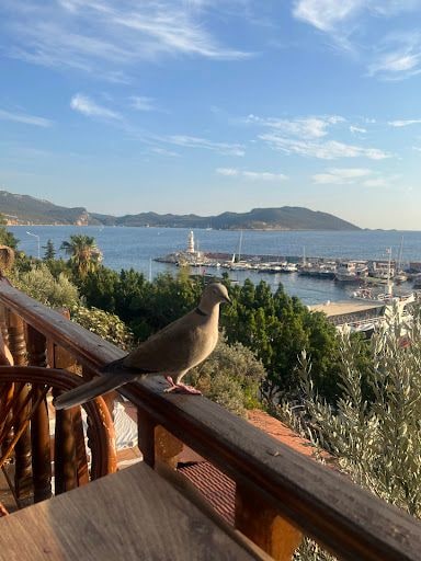 Yorum fotoğrafı 2