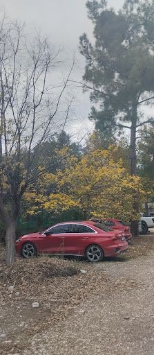 Fotoğraf 11