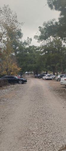 Fotoğraf 12