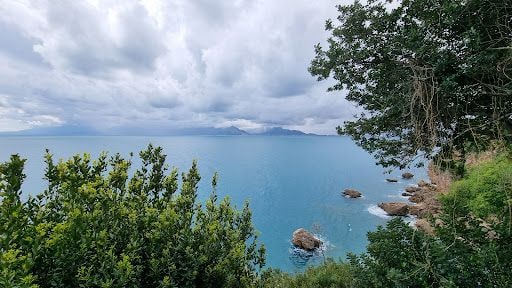 Fotoğraf 25