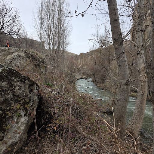 Yorum fotoğrafı 4