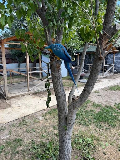 Yorum fotoğrafı 3