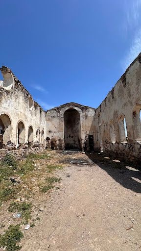Fotoğraf 14