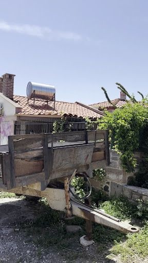Fotoğraf 16