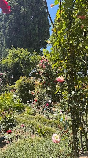 Fotoğraf 26