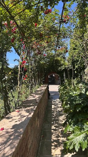 Fotoğraf 27