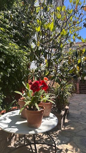 Fotoğraf 28