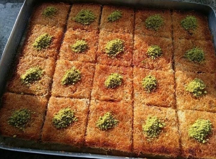 Fotoğraf 15