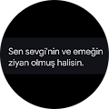 Funda Ozturkoglu