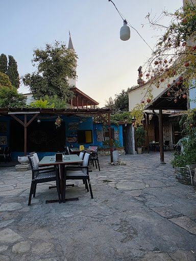 Fotoğraf 8