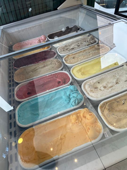 Fotoğraf 24