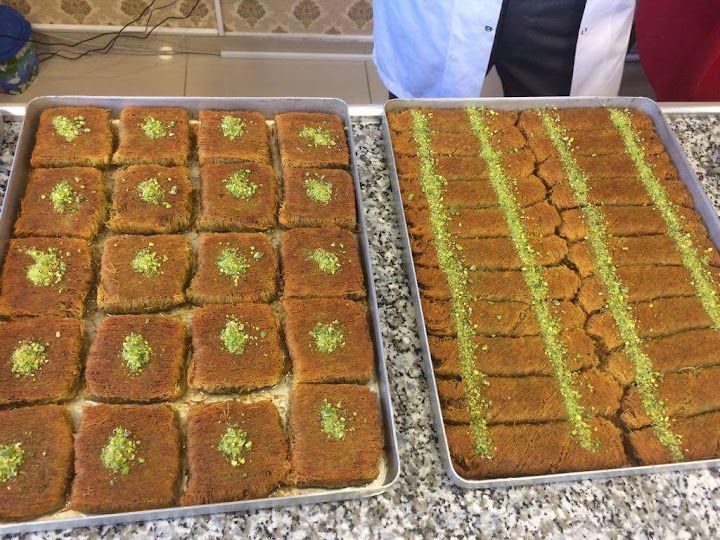 Fotoğraf 15