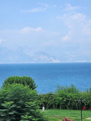 Fotoğraf 23