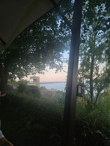 Fotoğraf 12