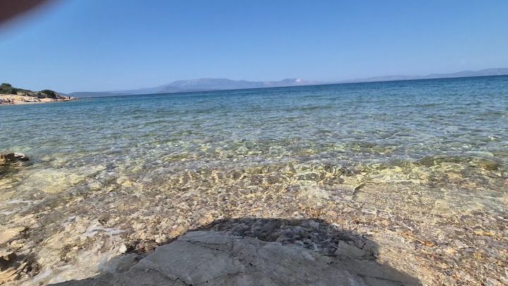Fotoğraf 15
