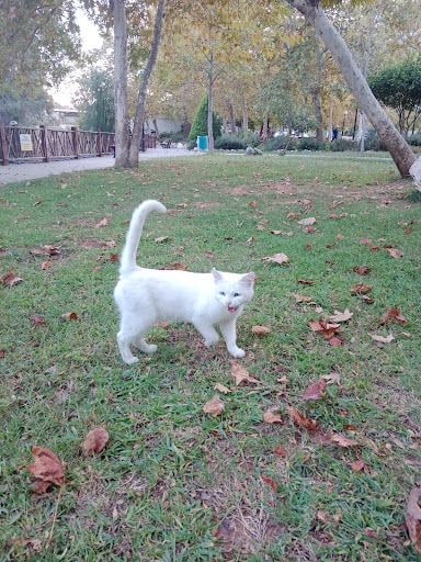 Yorum fotoğrafı 4