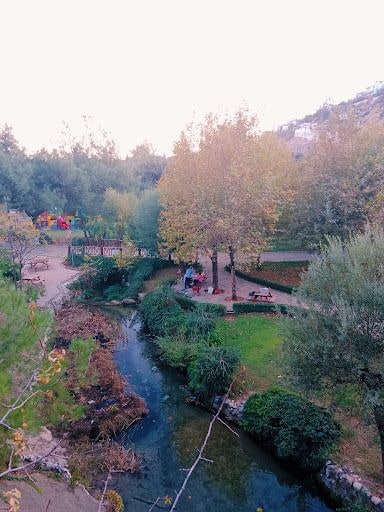 Yorum fotoğrafı 6