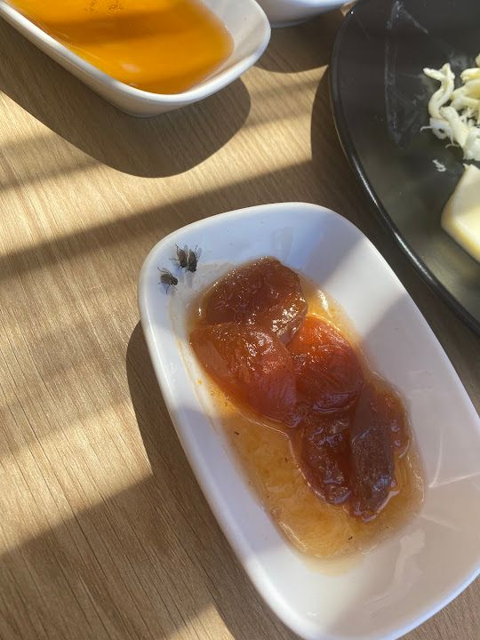 Fotoğraf 12