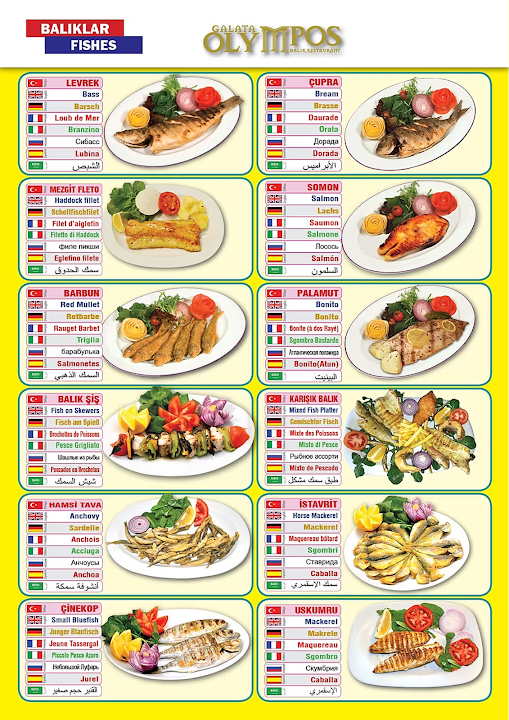 Fotoğraf 25