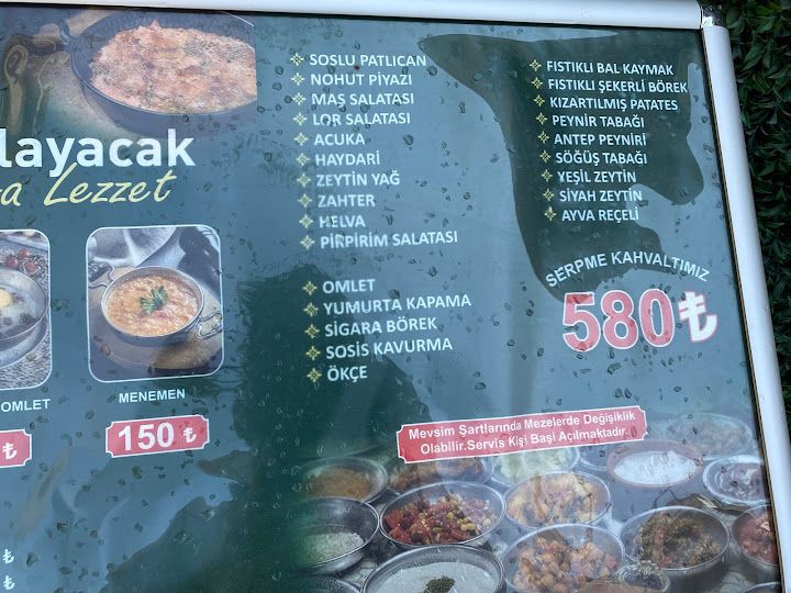 Fotoğraf 42