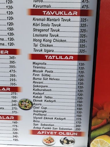 Fotoğraf 22