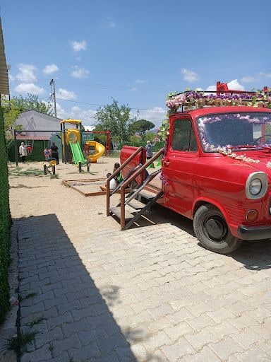 Fotoğraf 19
