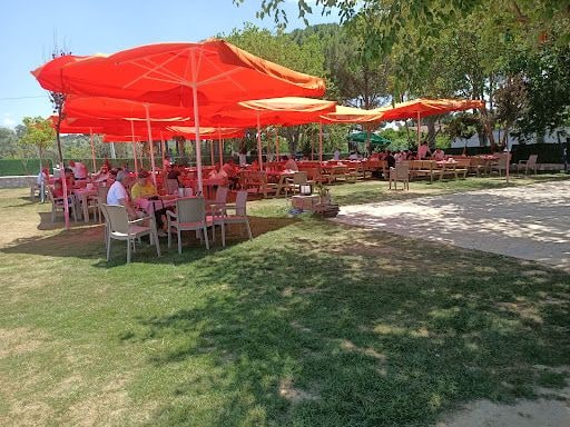 Fotoğraf 22