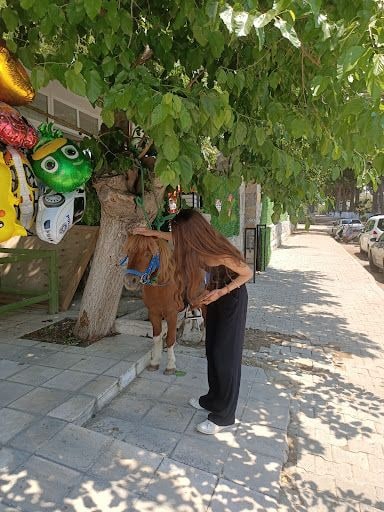 Fotoğraf 23