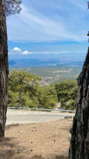 Yorum fotoğrafı 3